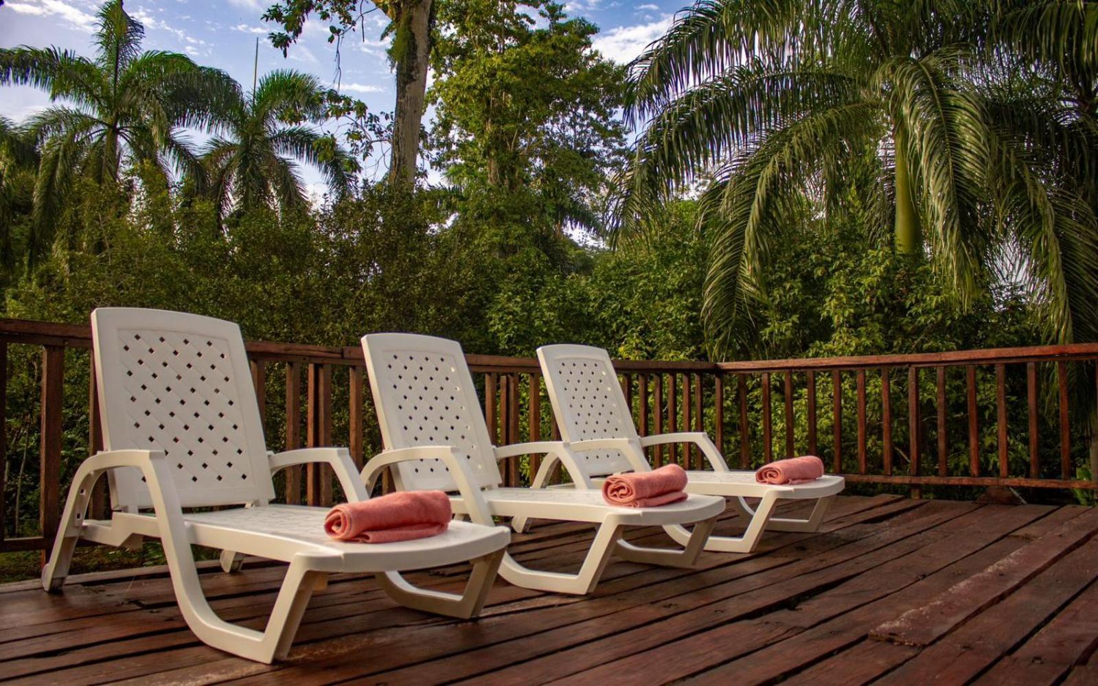 Casa Heliconia - Spacious, Big Garden, Close To The Beach Puerto Viejo de Talamanca Eksteriør billede
